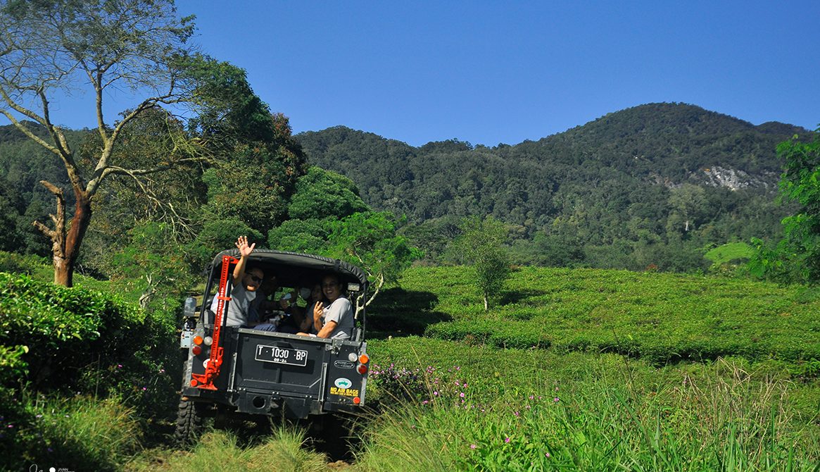 Safari Offroad